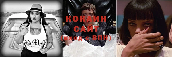 прущий лед Алзамай