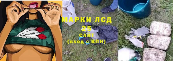 прущий лед Алзамай